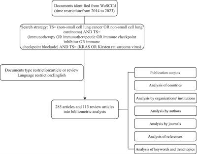 Global research trends in immunotherapy for non-small cell lung cancer patients with KRAS mutations: a bibliometric analysis